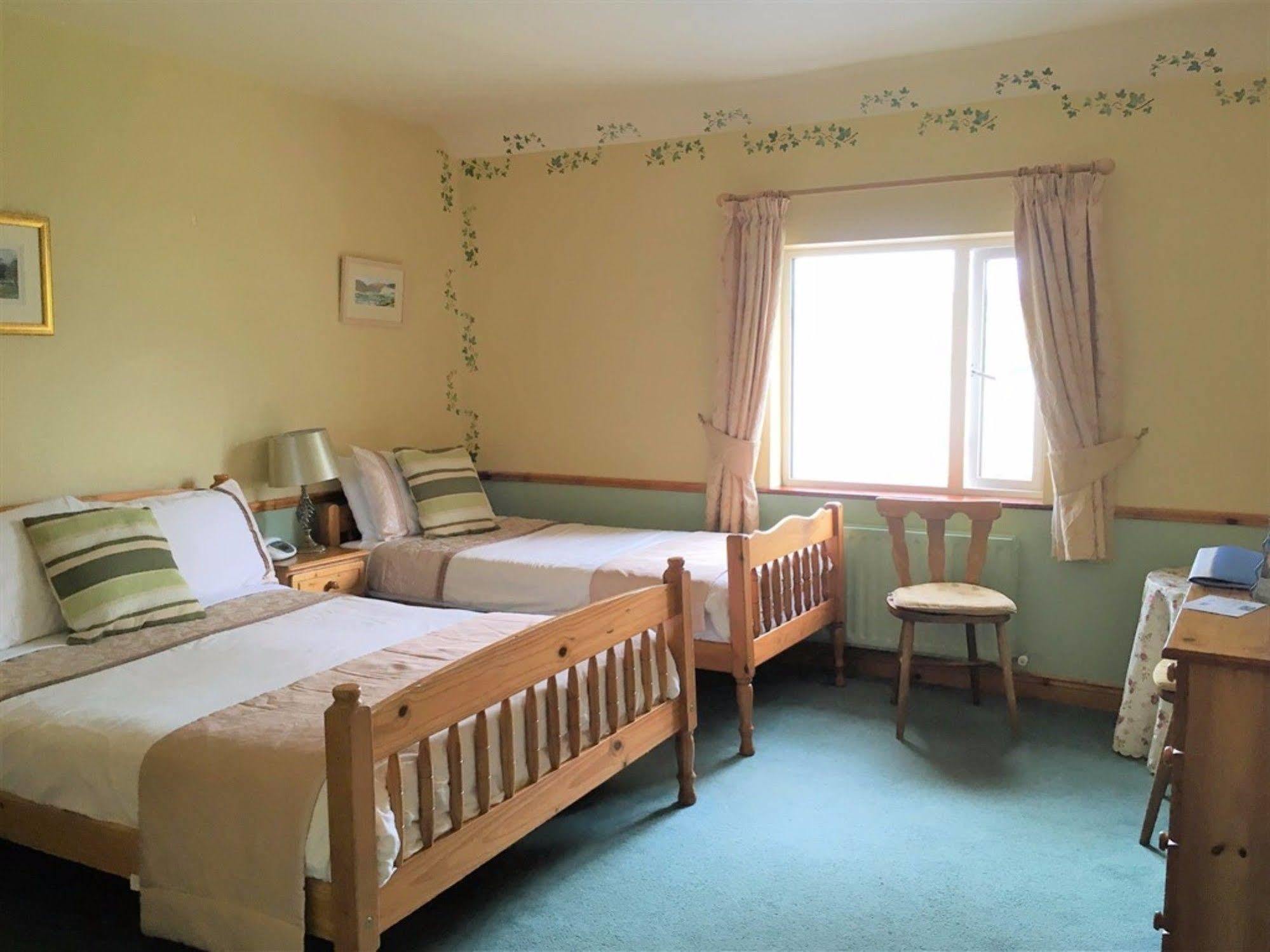 O'Connor'S Guest House Dingle Exterior photo