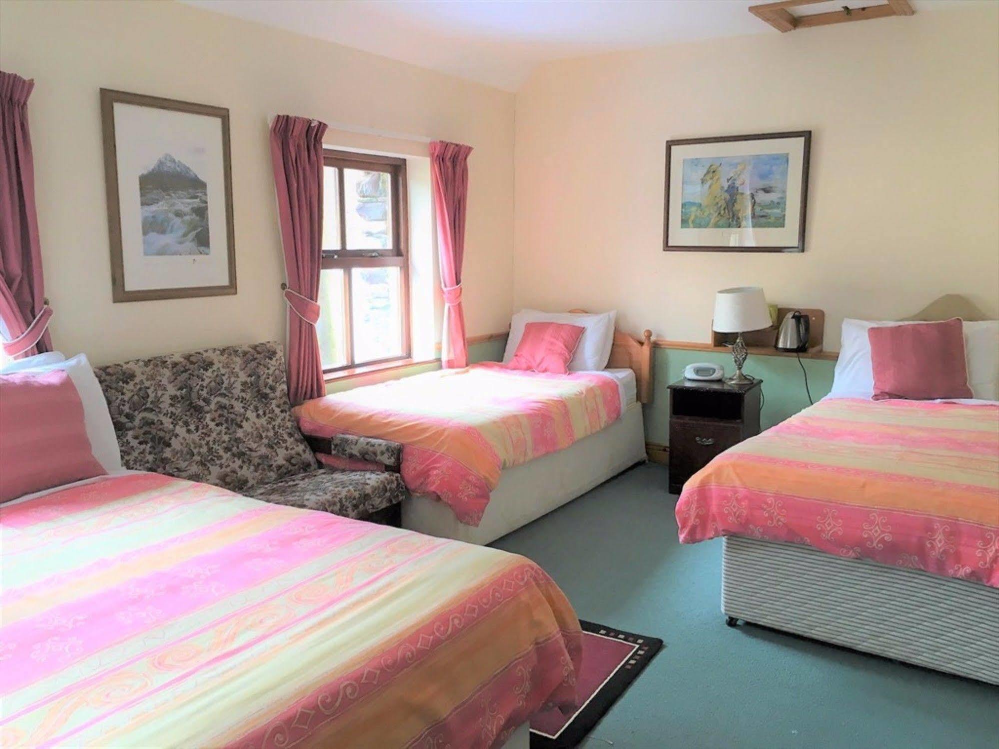 O'Connor'S Guest House Dingle Exterior photo